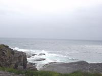 Robbenfelsen am Old Wick Castle