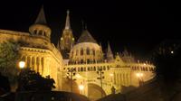 Budapest bei Nacht Burg