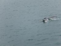 Island 14.-21.06.2016