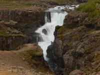 Island ist nicht nur landschaftlich ein Erlebnis