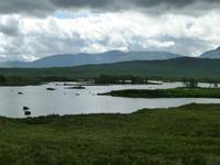 Rannoch Moor