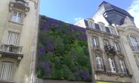 Stadtansicht Reims