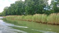 Am Gotakanal 6