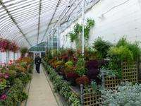 Belfast - Botanic Garden