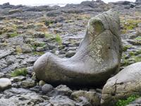 Giants Causeway - Der Schuh des Riesen
