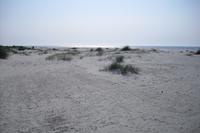 Bornholm - Strand von Dueodde