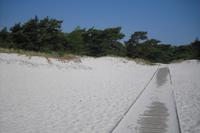 Bornholm - Strand von Dueodde