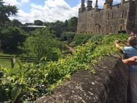 Schloss Windsor