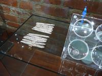 Baltikum, Litauen, Trakai