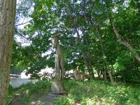 Baltikum, Litauen, Kurische Nehrung, Hexenberg