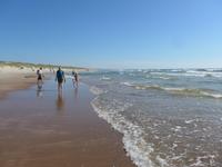 Baltikum, Litauen, Kurische Nehrung