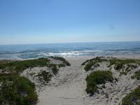 Baltikum, Litauen, Kurische Nehrung