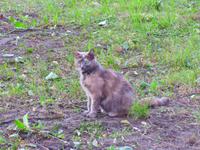 Baltikum, Lettland, Riga, Viesturdarzs Park