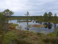 Baltikum, Estland, Lahemaa-NP