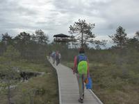 Baltikum, Estland, Lahemaa-NP