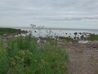 Baltikum, Estland, Lahemaa-NP, Altja