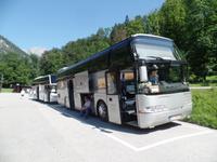 ein schattiges Plätzchen, auch für unseren Buschauffeur