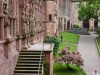 Heidelberg Schloss mit Perückenbaum