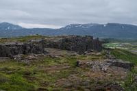 Lavafeld im Thingvellir Nationalpark