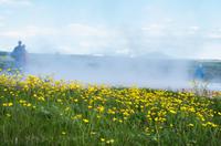 Heiße Quellen beim Großen Geysir auf Island