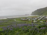 20.06.2016: Blick auf Vik