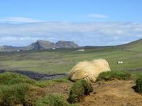 21.06.2016: auf den Westmänner Inseln