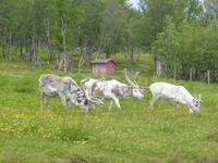 037-Porsangenfjord