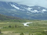 106-Dovrefjell
