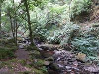 Killarney Nationalpark - bei Torc Wasserfall