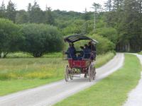 Killarney Nationalpark - Jaunting Car