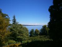 Blick von der Insel auf den Bodensee in Richtung Meersburg