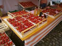 Markttag in Lindau, im Angebot u.a.frische Erdbeeren