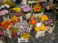 Blumenangebot am Markttag