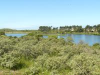 Kennemer Nationalpark