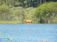 Kennemer Nationalpark 2