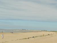 Strand am Kennemer Nationalpark