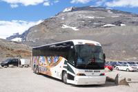 unser Bus mit Kathy an Bord