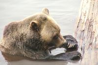 ...ich sollte mal zur Pediküre! :O)