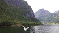 Nærøyfjord