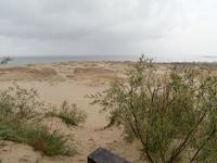 Kurische Nehrung-Besuch große Düne