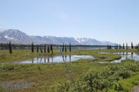 Panorama Zugfahrt mit dem 