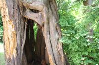 Vancouver - Stadtrundfahrt