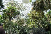 Vancouver - Elisabeth Garden