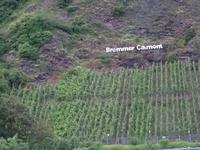 Mosel, Bremmer Calmont - der steilste Weinberg Europas