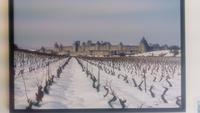 Carcassonne im seltenen Schnee