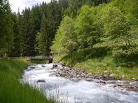 Stilfser Joch National Park 