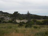 105. Glanum