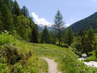 Stilfser Joch National Park 