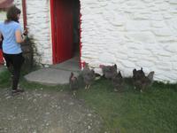 Für Tierfreunde