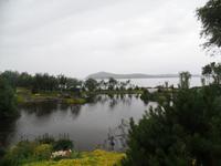 Botanischer Garten Stavanger  (24)